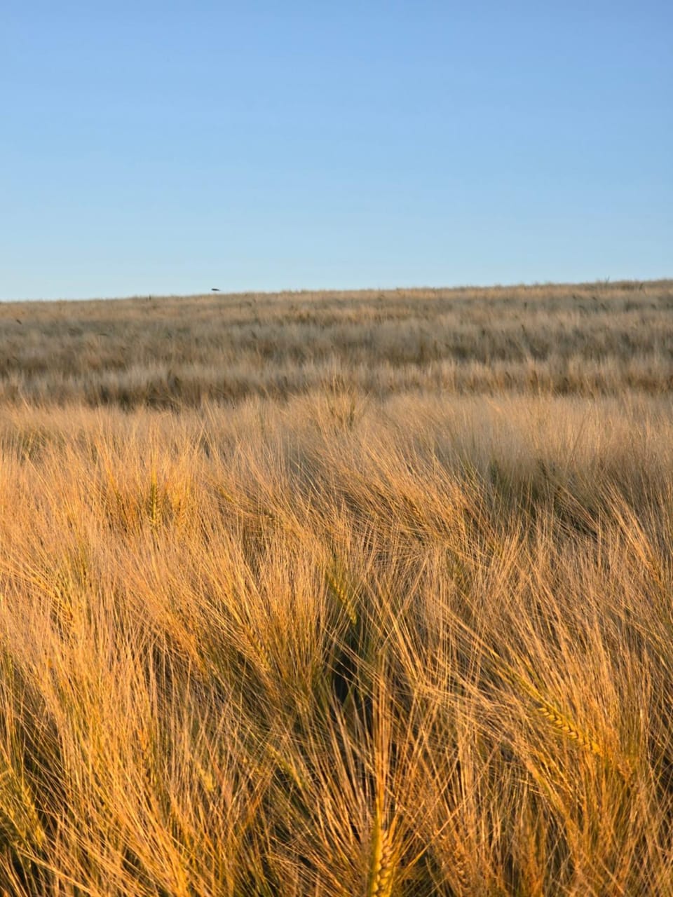 Natural landscape