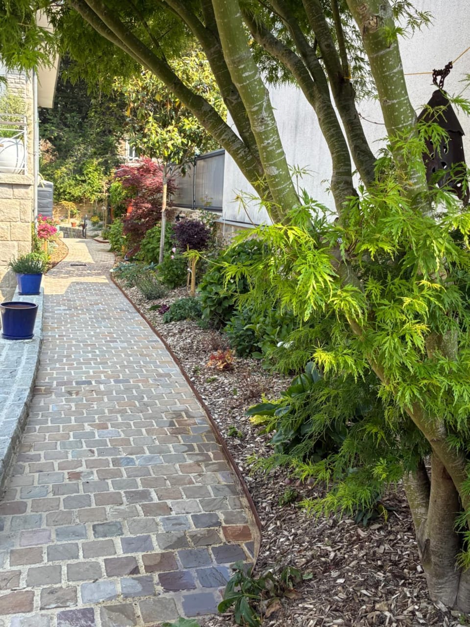 Patio, Garden