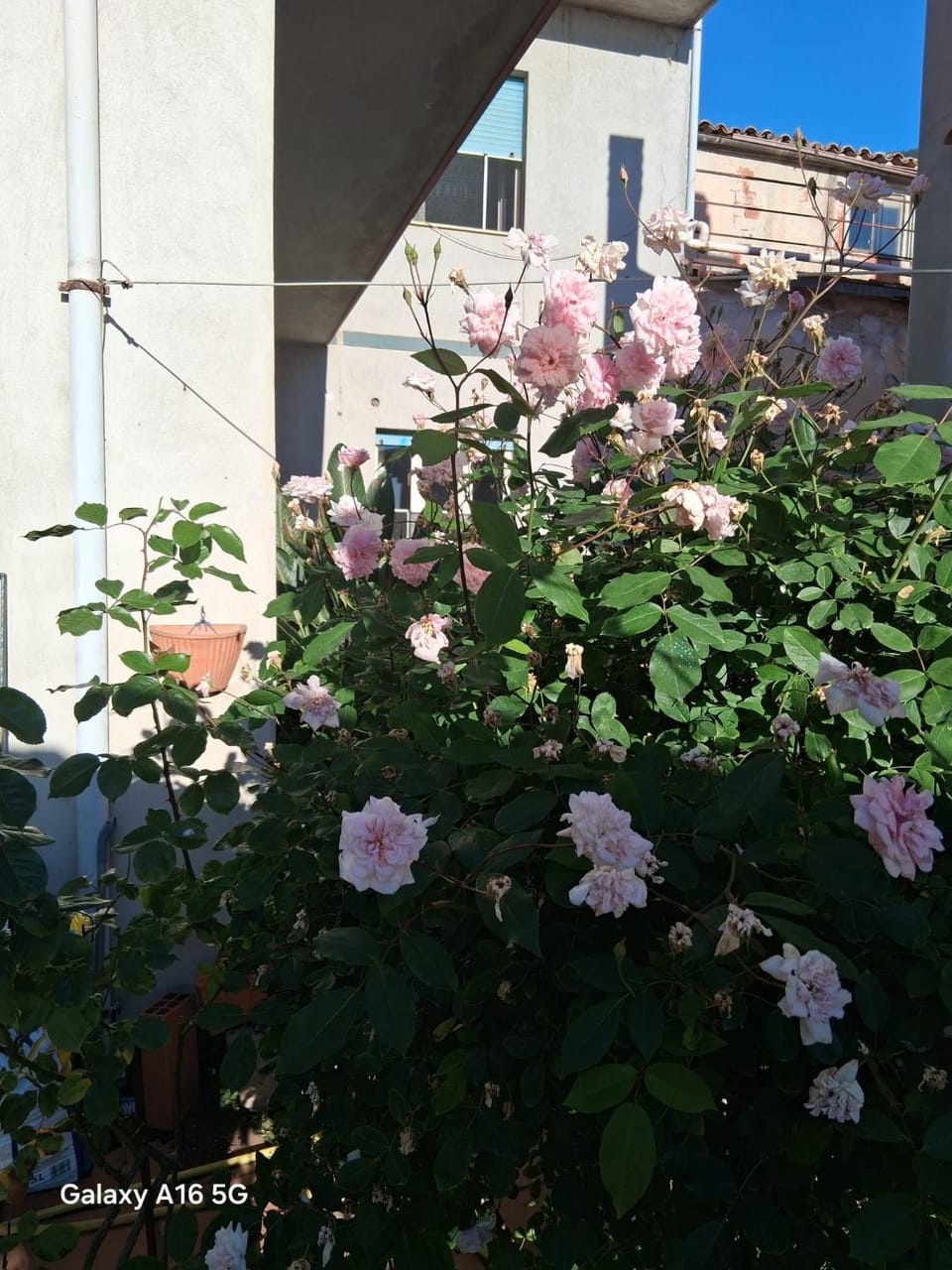 Le Ortensie Bed and Breakfast in Sardinia