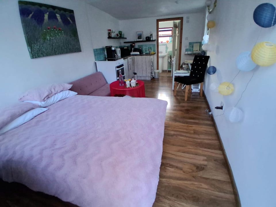Bed, Kitchen or kitchenette, Living room, Seating area, Bedroom, oven, stove