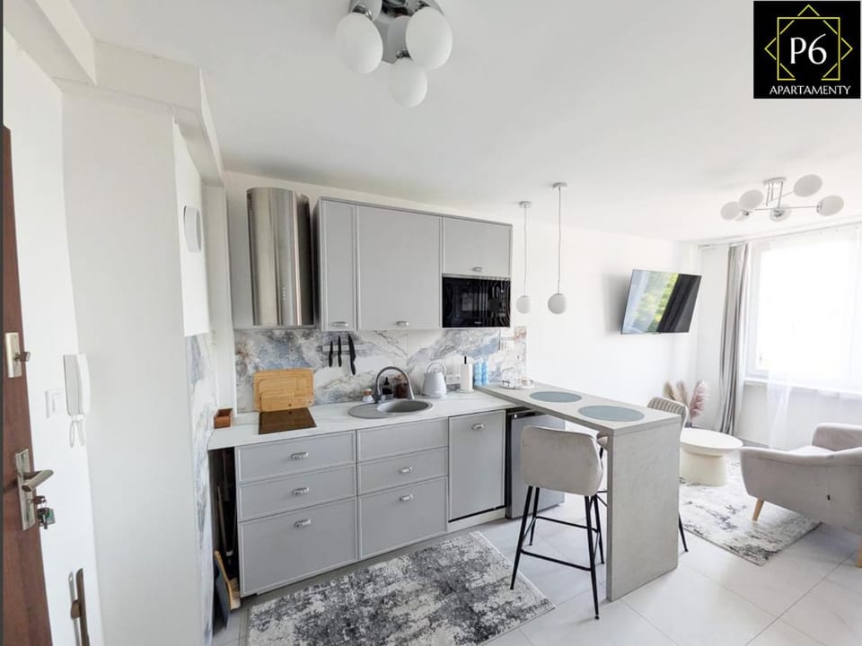 P6 Lipowa Apartment in Poland