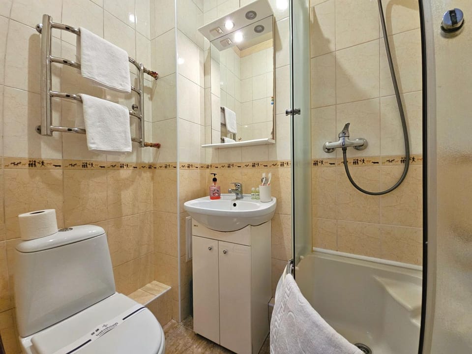 Shower, Toilet, Bathroom, Bath, towels