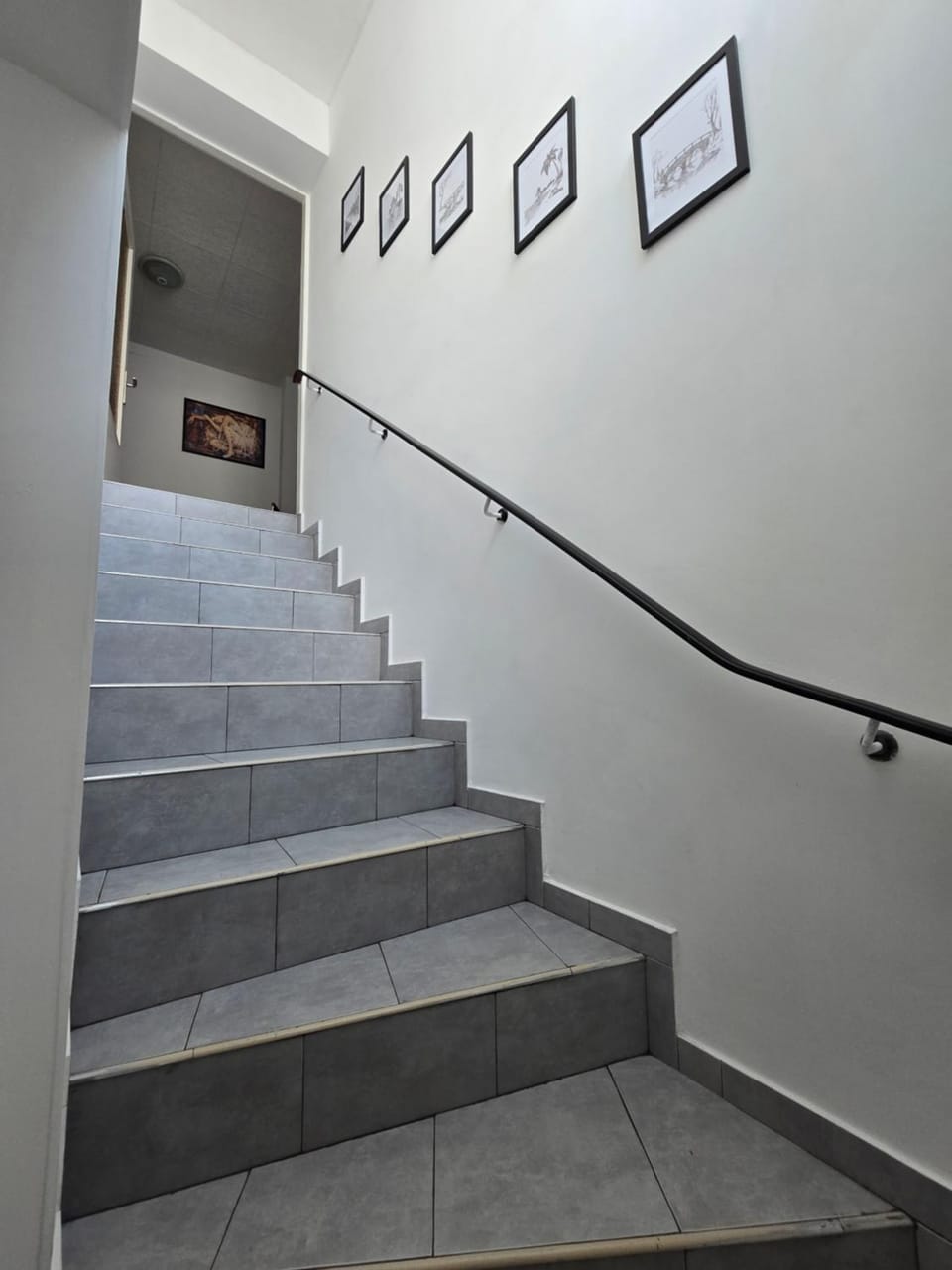 Aura-City-Apartment-Colorful & Central Stay Apartment in Hesse