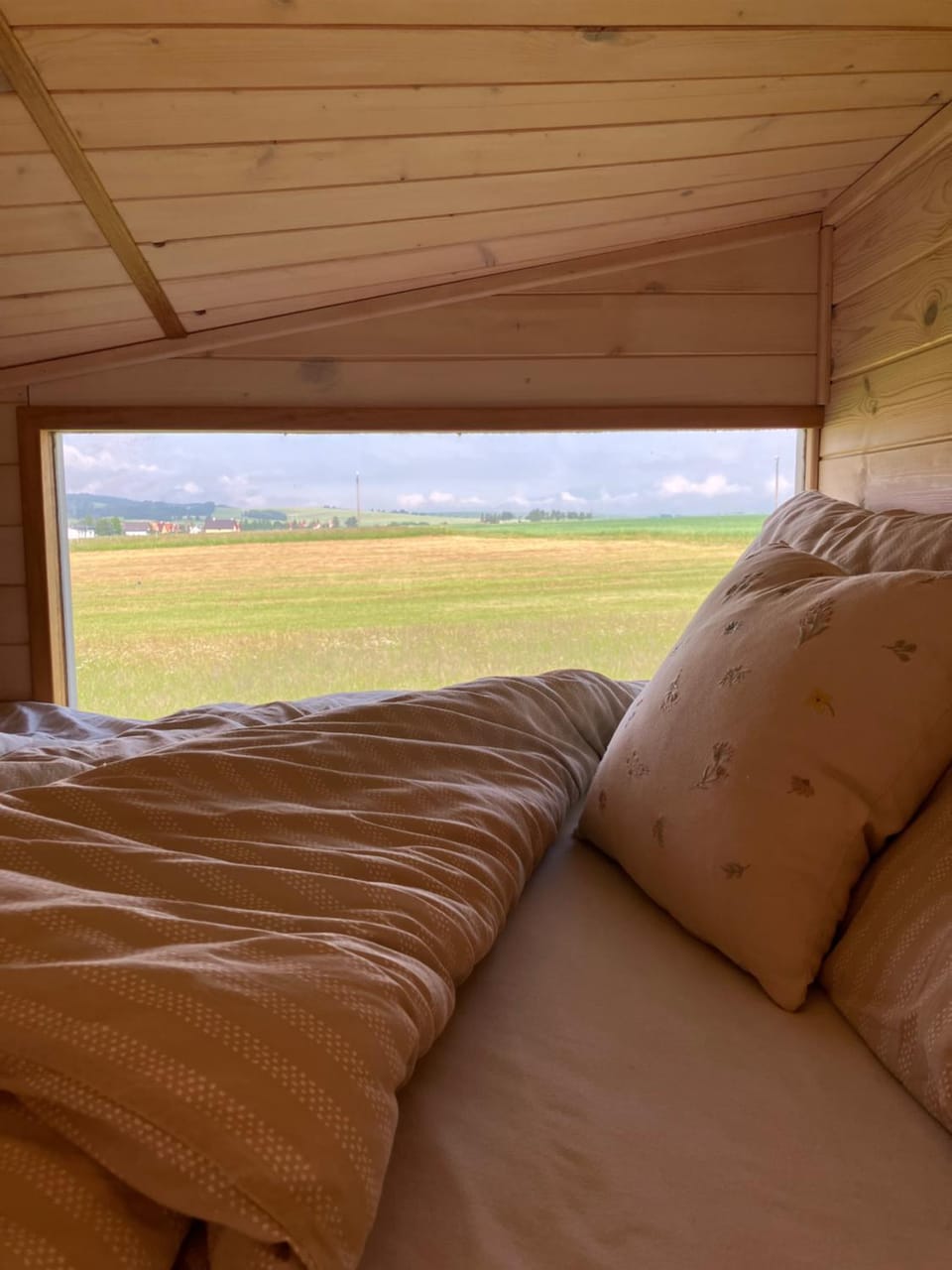Bed, View (from property/room), Bedroom