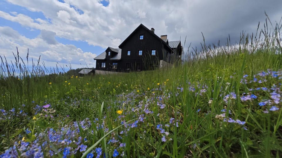 Property building, Spring, Day
