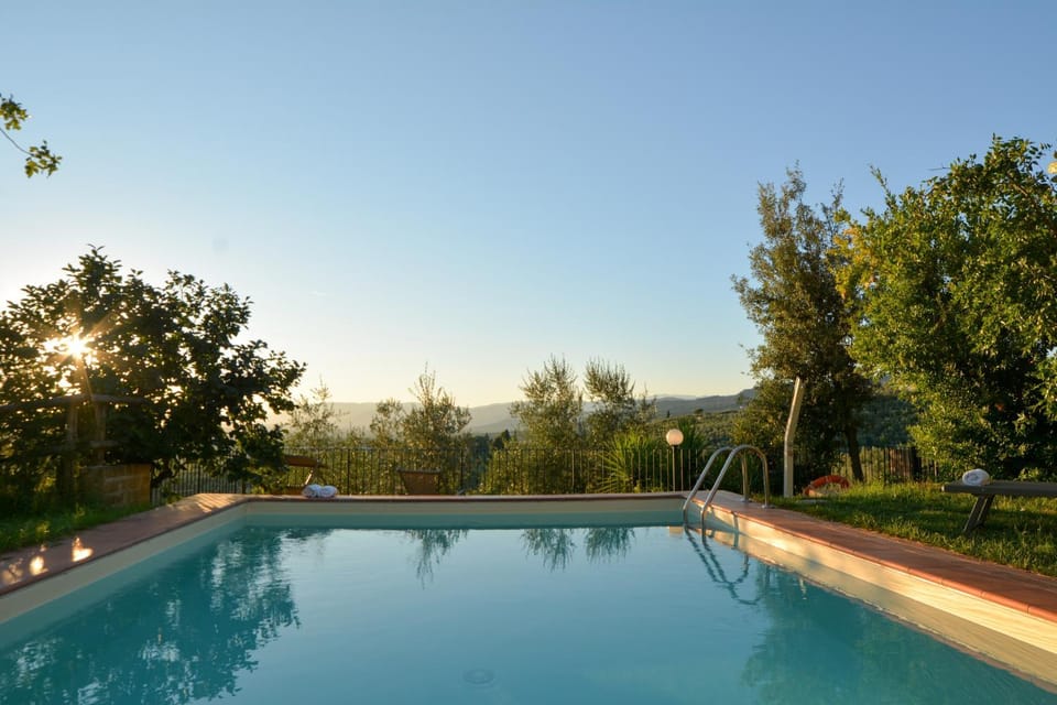 Natural landscape, Garden, Pool view, Swimming pool, Swimming pool, Swimming pool