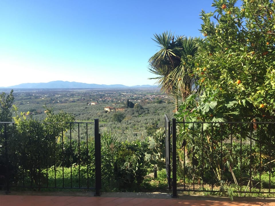 Natural landscape, View (from property/room), Balcony/Terrace, Garden view