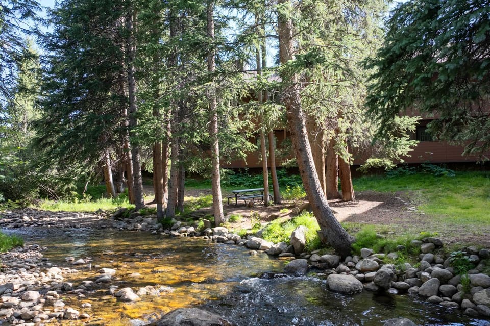 Day, Natural landscape, Garden, River view