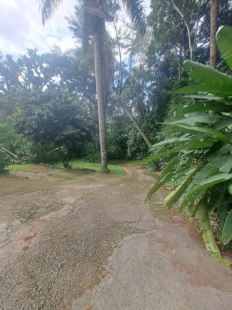 Area and facilities