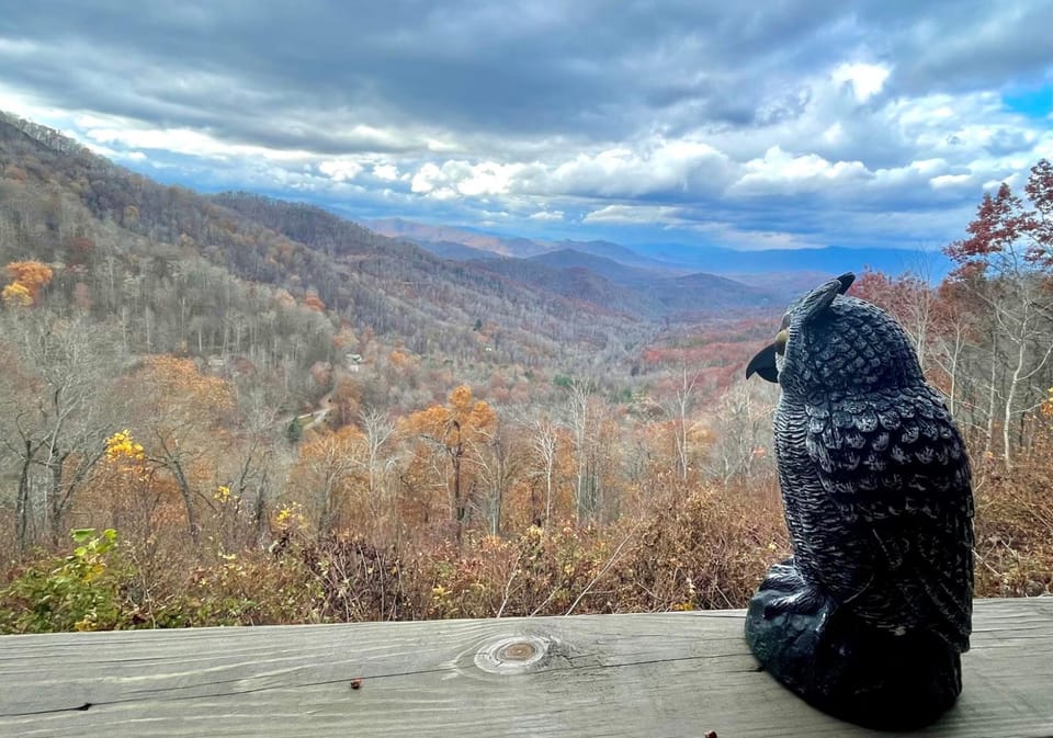 Sunset Ridge Lodge - Breathtaking mountain views and spectacular sunsets ALL seasons House in Swain County