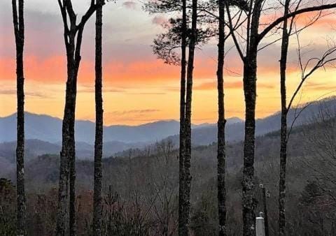 Tree Top Getaway close to Fontana Lake and NOC - Free Train Tix! House in Stecoah
