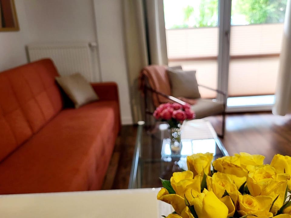 Apartament Mazury - Róża Wiatrów Apartment in Lithuania