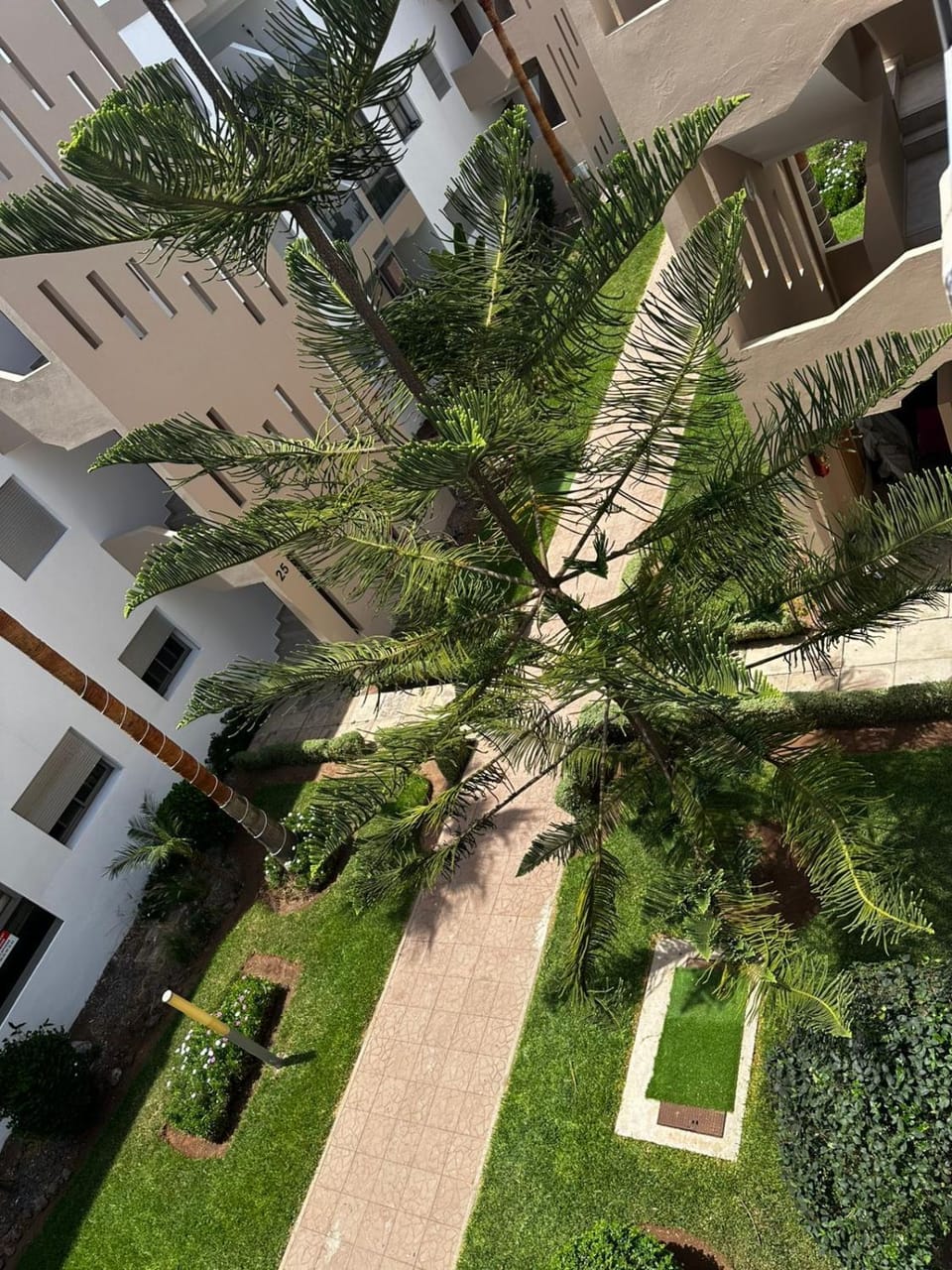 Garden view