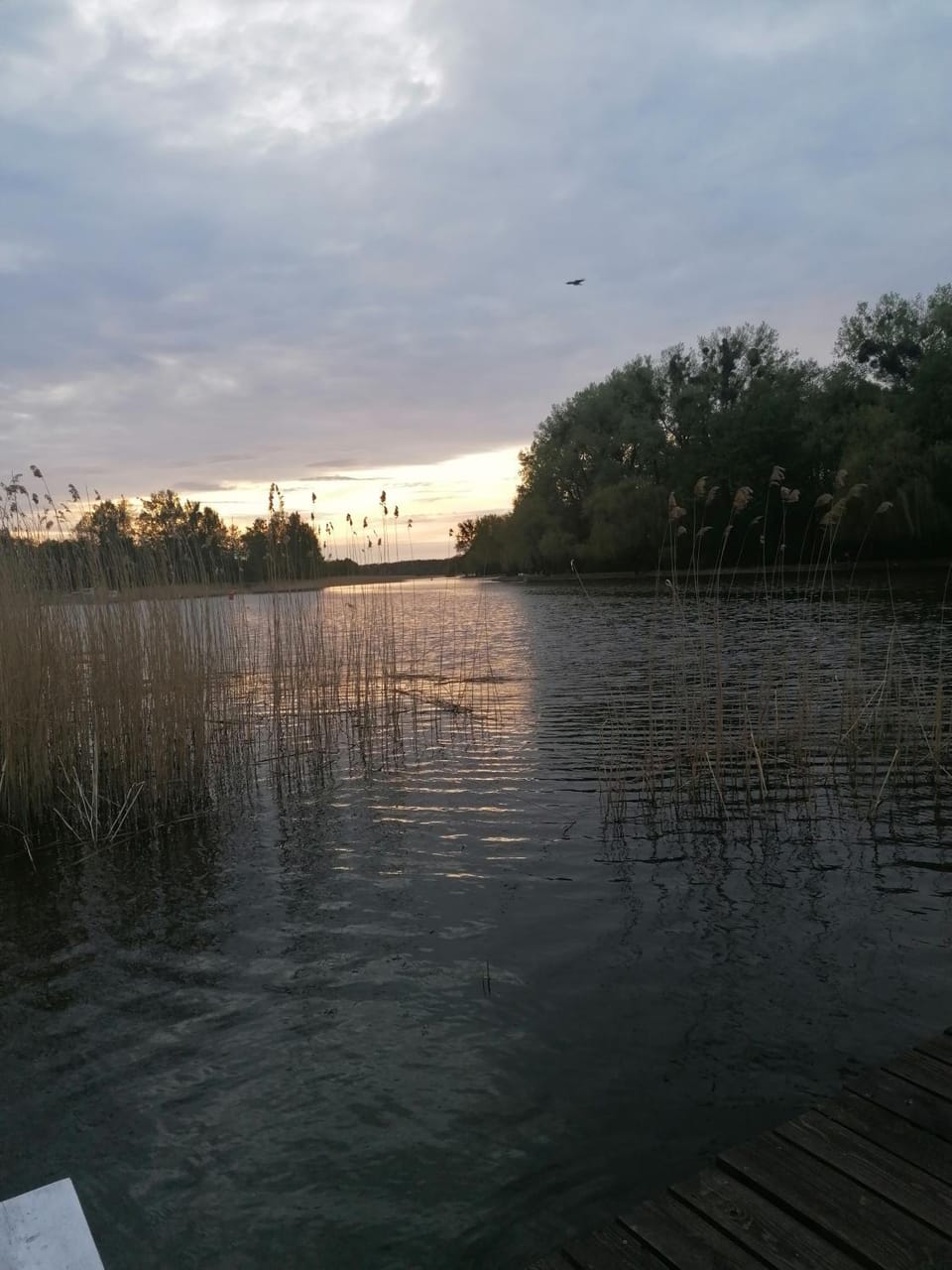 Fishing, River view