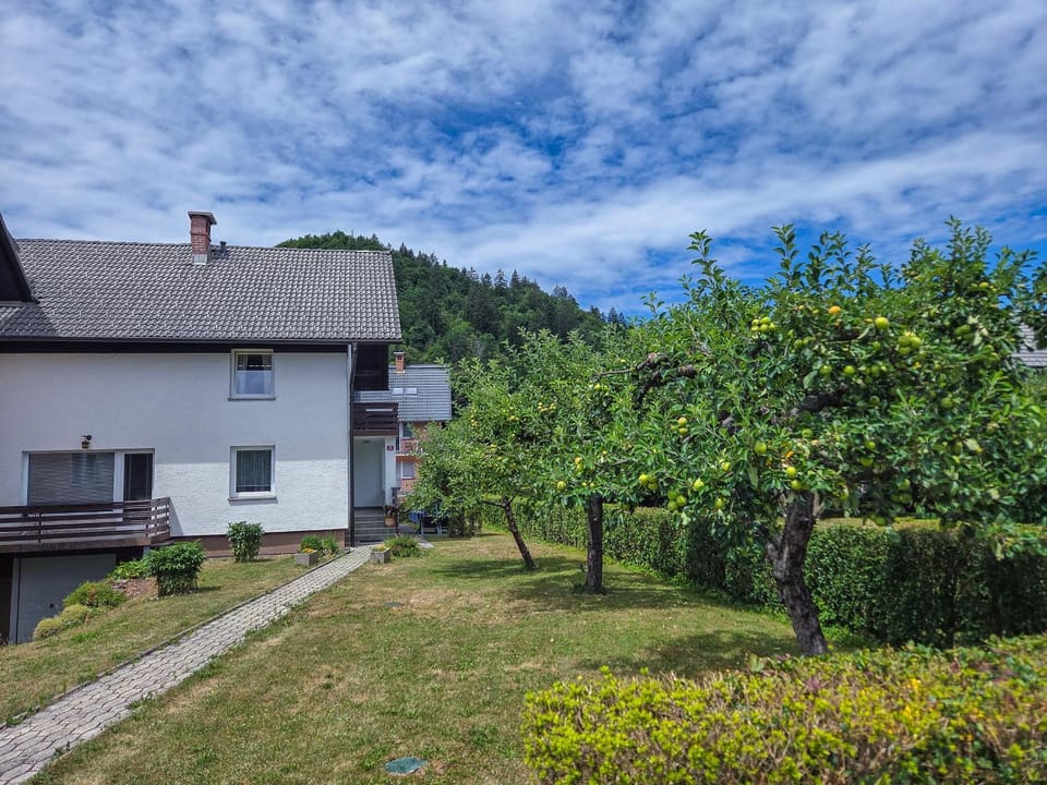 Property building, Garden view