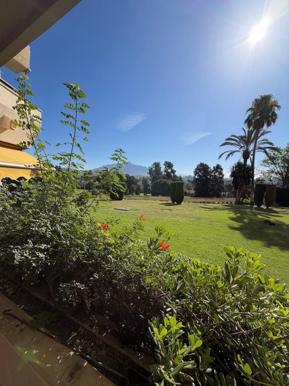 Atalaya Green Nest Apartment in Costa del Sol
