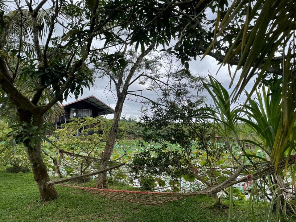 Villas by Helanka Villa in Western Province