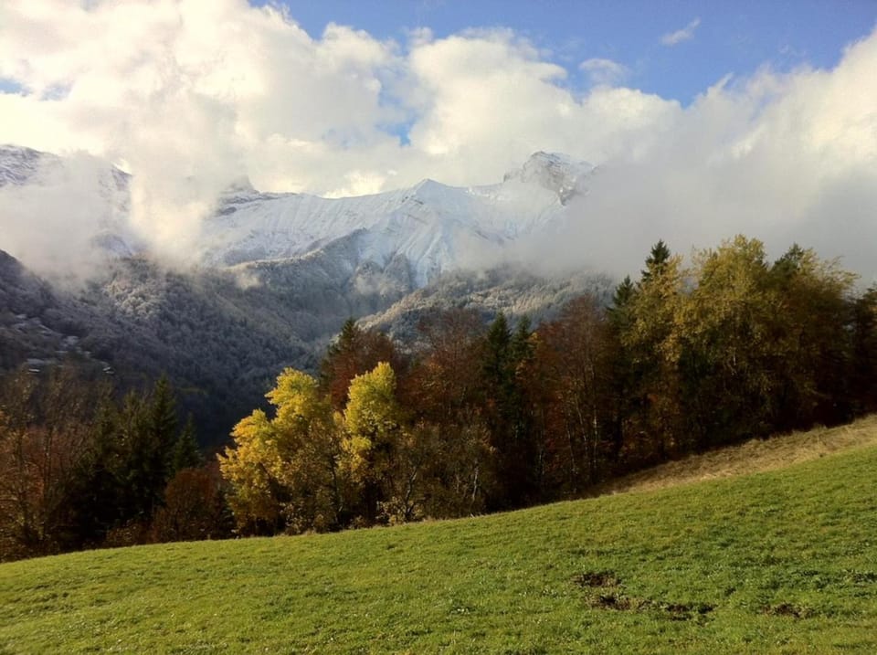 Enire Property in Frasse four bedrooms Apartment in Arâches-la-Frasse