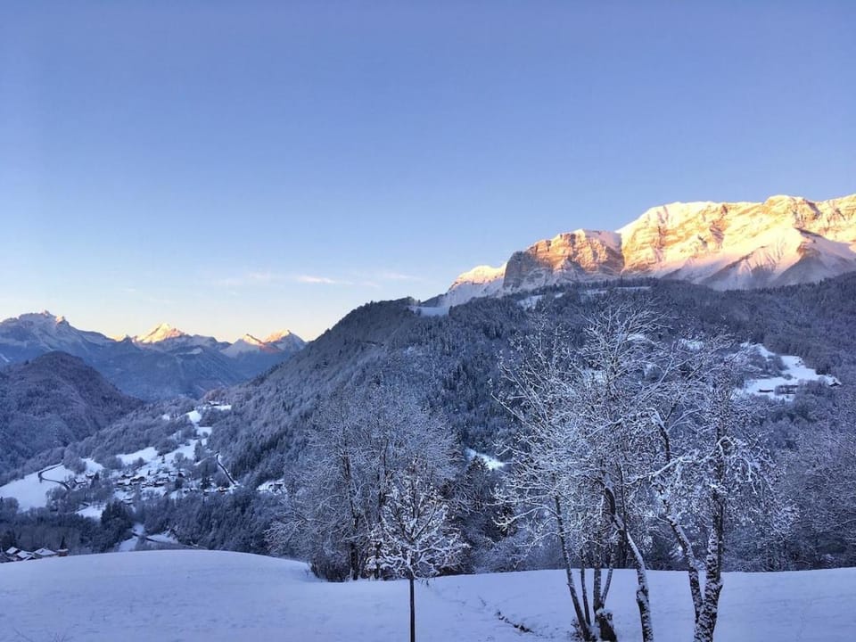 Enire Property in Frasse four bedrooms Apartment in Arâches-la-Frasse