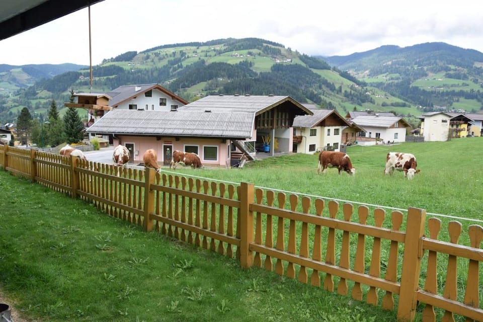 GastHaus Tiotrag Apartment in Salzburgerland