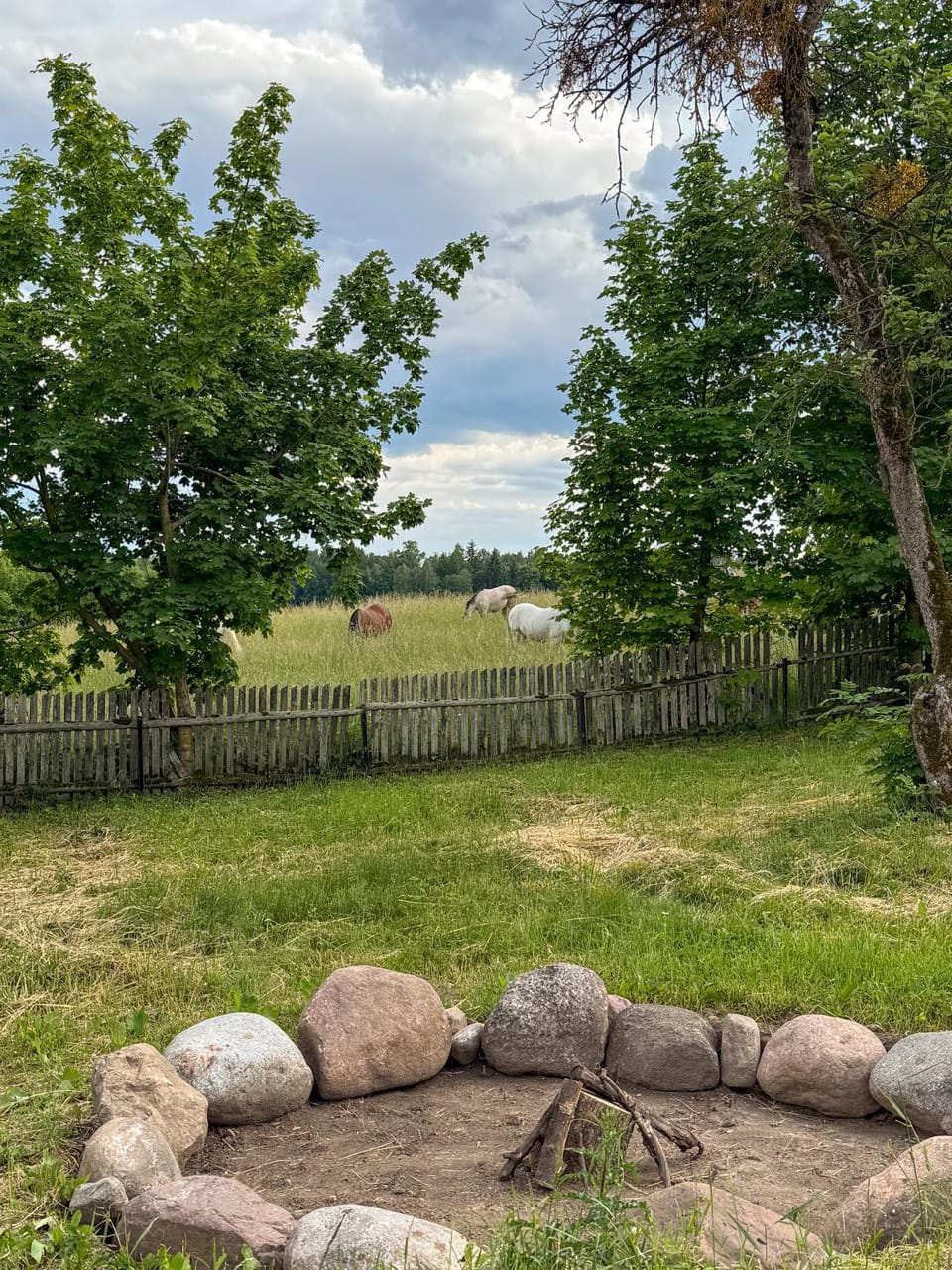 Spring, Garden, View (from property/room)