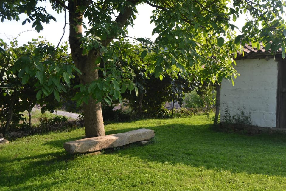 Property building, Off site, Garden