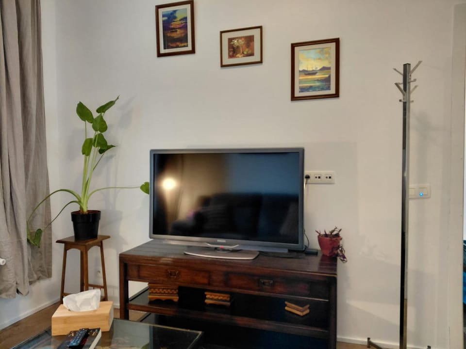 TV and multimedia