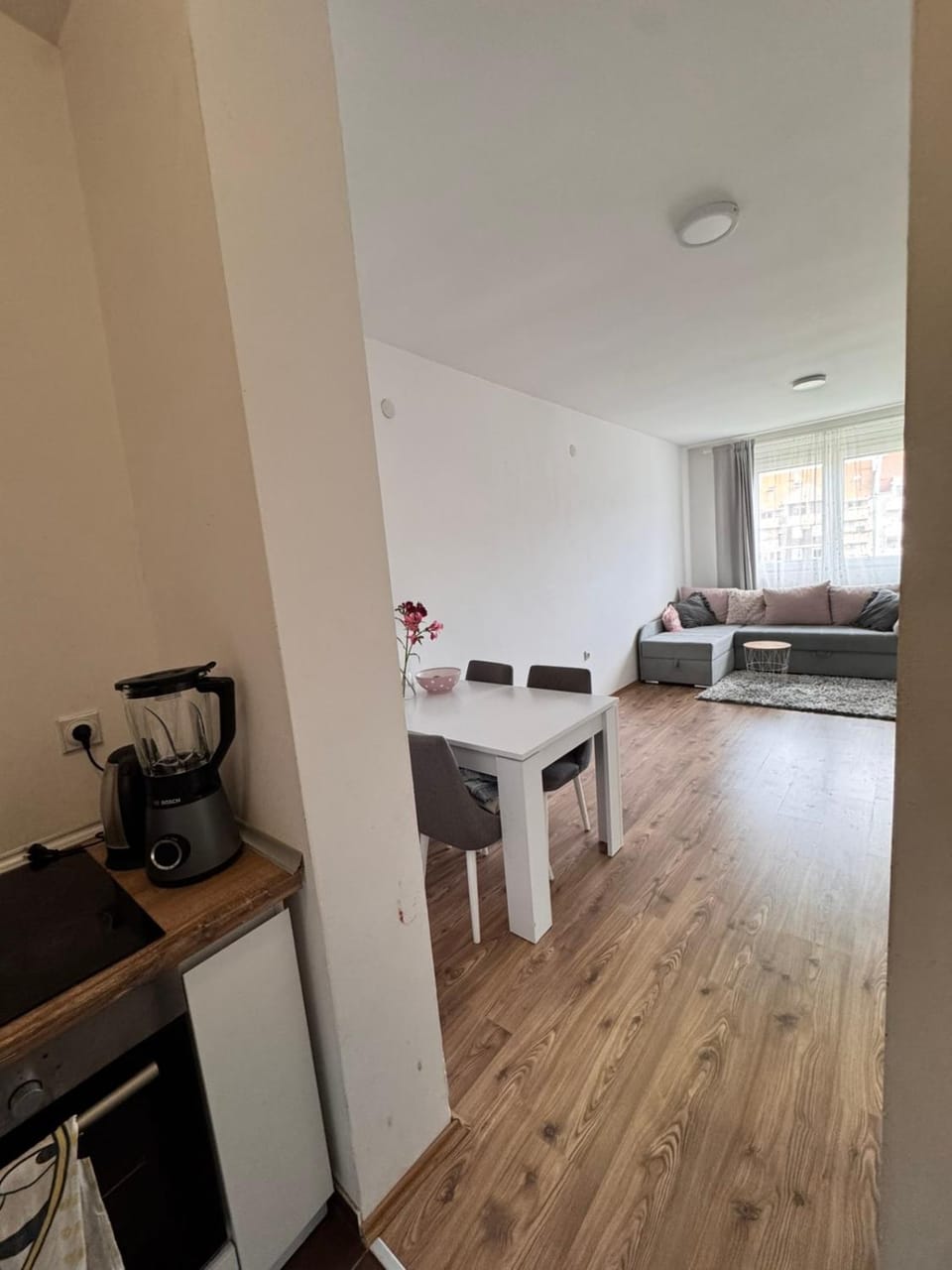 Apartman Jovana Apartment in Novi Sad