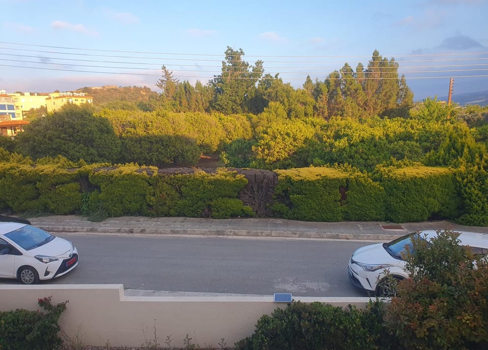 Neighbourhood, Quiet street view, Parking