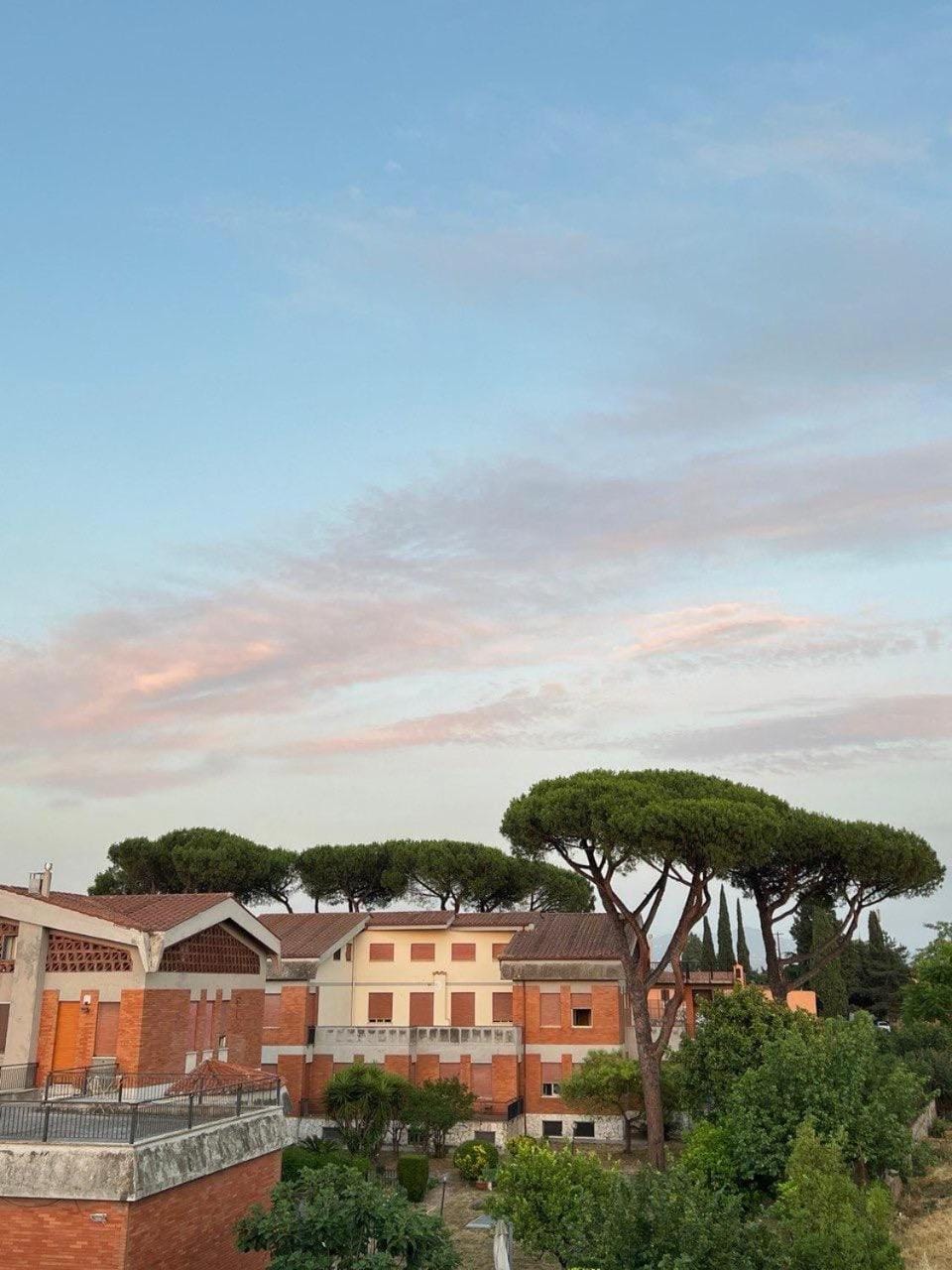 Day, Garden, Garden view