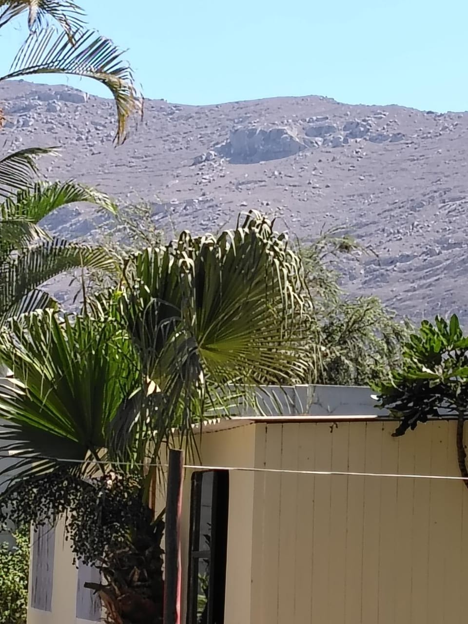 Day, Natural landscape, Garden, Mountain view