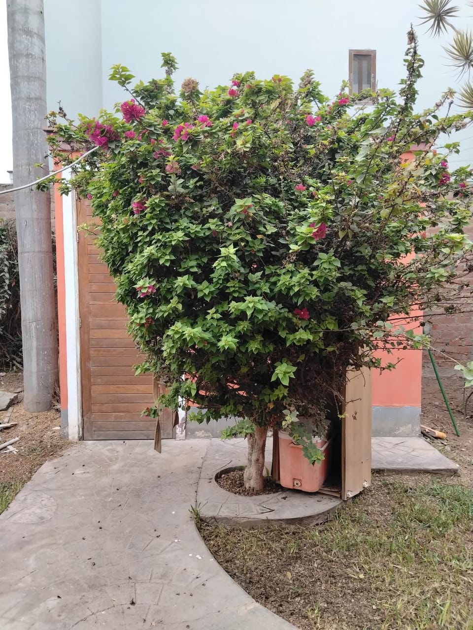 Garden, Garden view