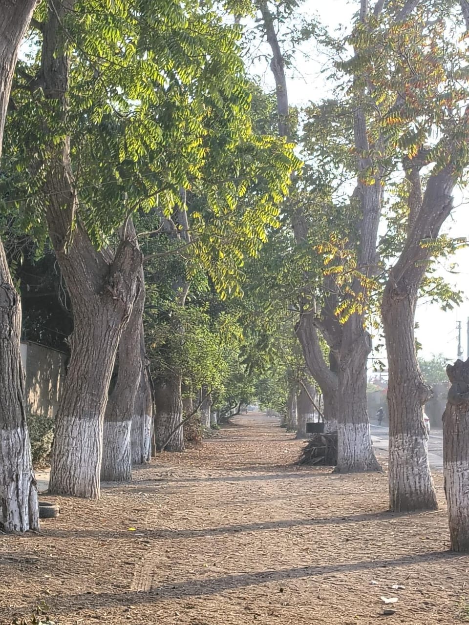 Day, Natural landscape