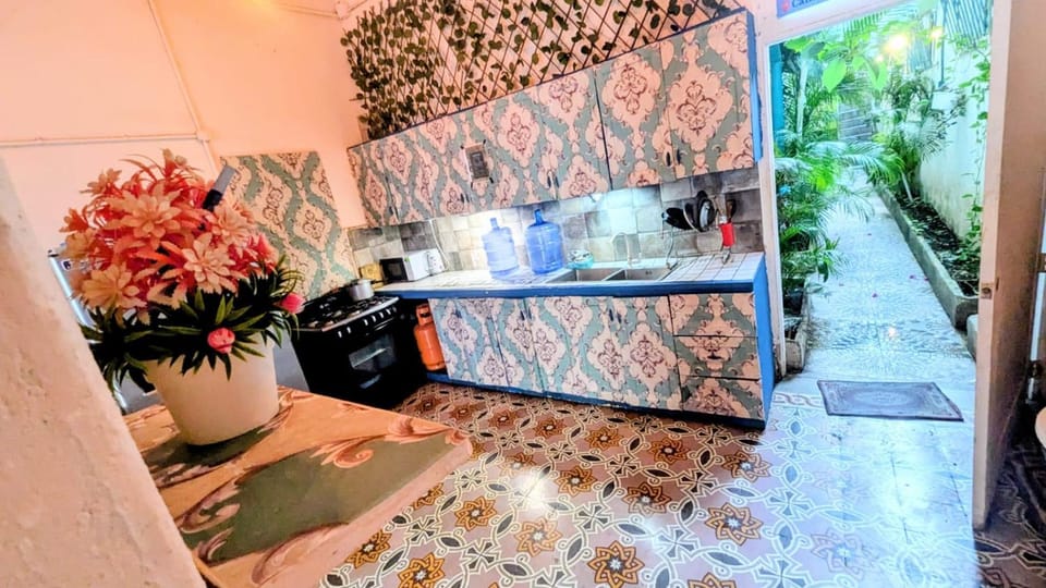 Kitchen or kitchenette, oven, stove