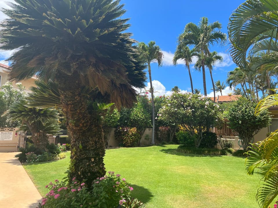 Wailana Sands #102 Peaceful Complex With Pool Across from Mai Poina Ole Beach Apartment in Kihei