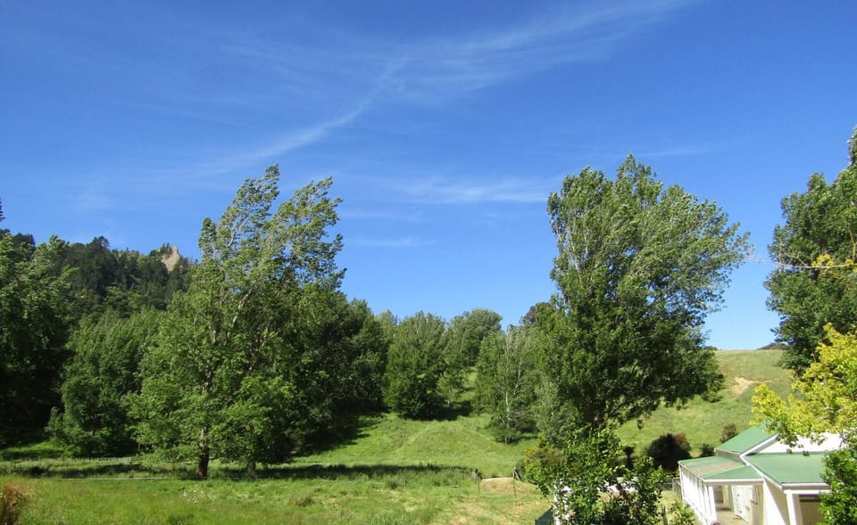 Natural landscape