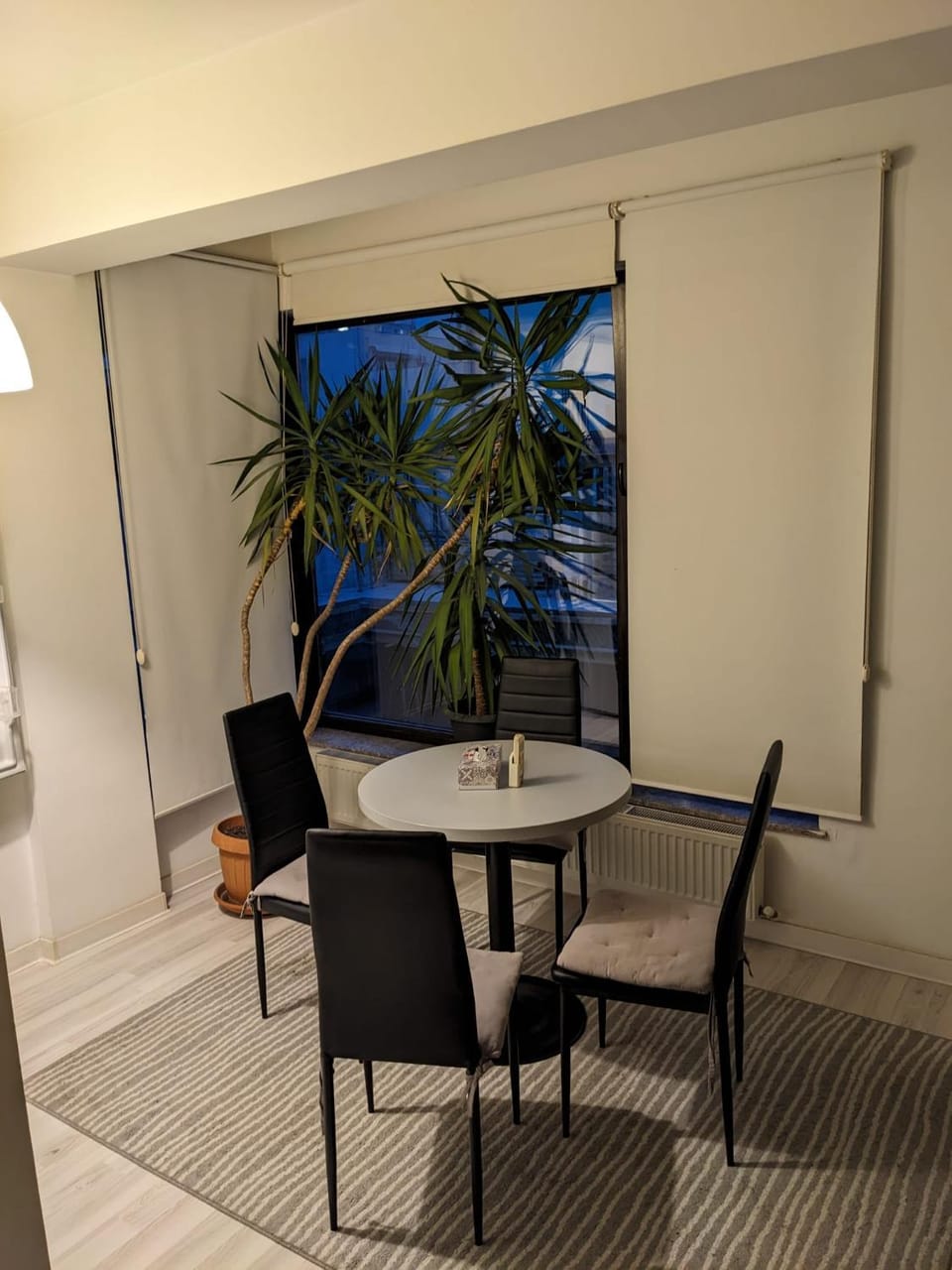 Bran' s Apartment in Constanta