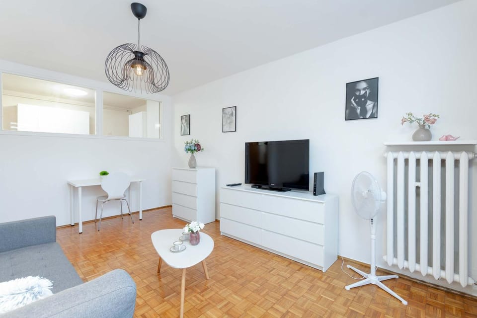TV and multimedia, Living room, Seating area, Evening entertainment
