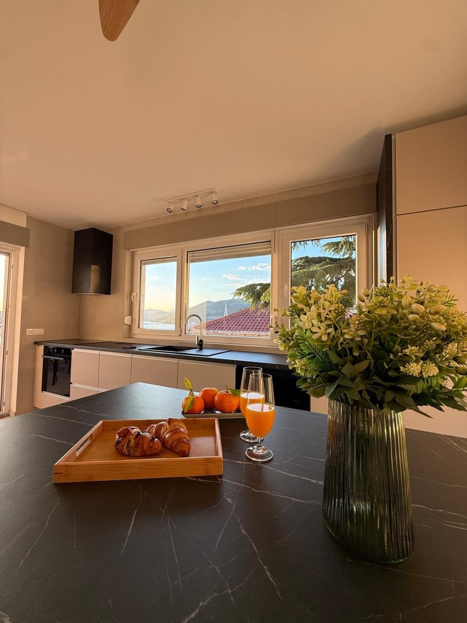 Kitchen or kitchenette, kitchen