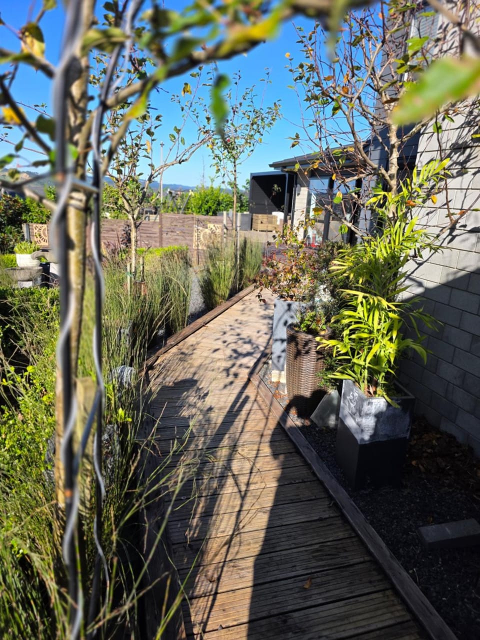 Totara Parklands Guesthouse Bed and Breakfast in Whangārei