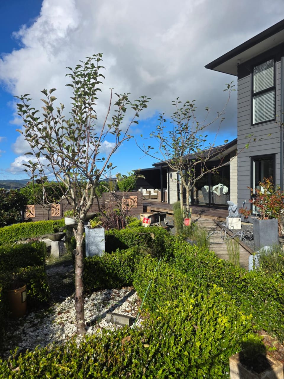 Garden view