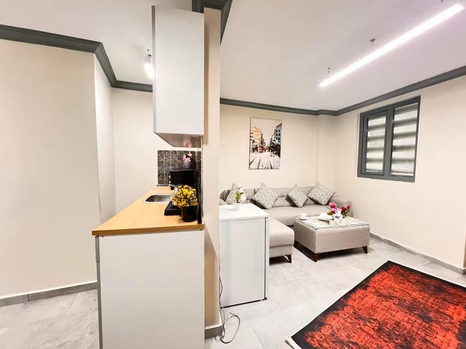 Kitchen or kitchenette, Living room, Photo of the whole room, Seating area, Dining area, oven