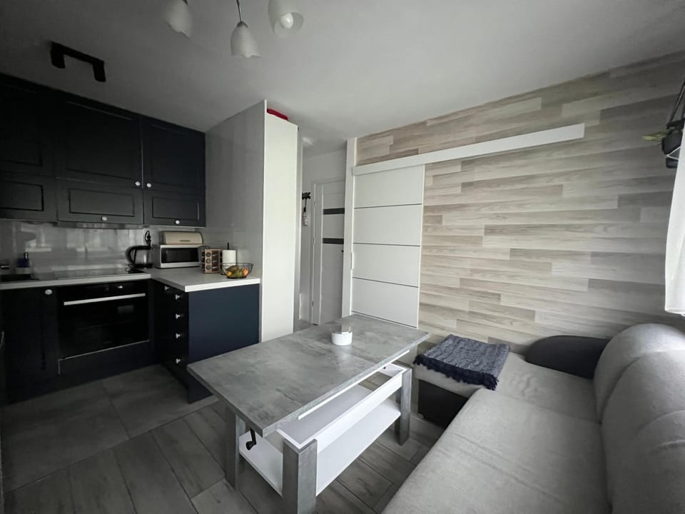 Living room, kitchen