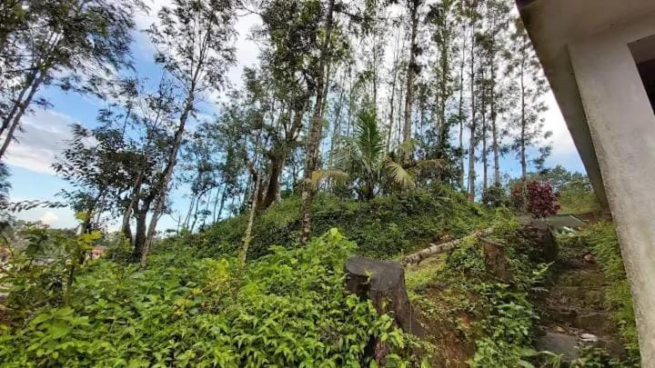 The Janani city view stay madikeri Apartment in Madikeri