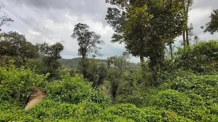 The Janani city view stay madikeri Apartment in Madikeri
