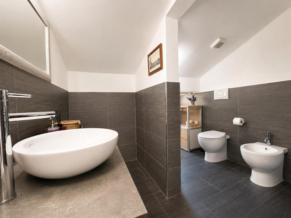 Shower, Toilet, Bathroom, bidet
