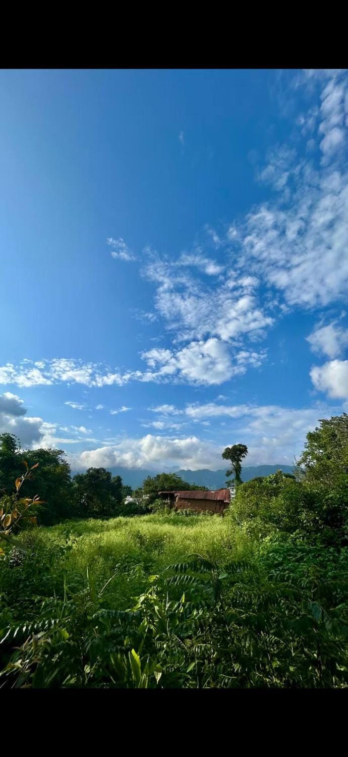 Natural landscape