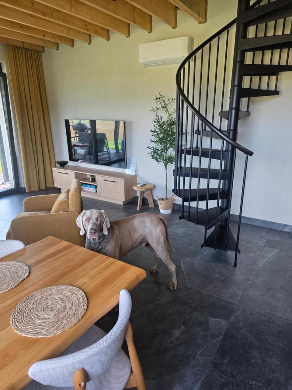 Communal lounge/ TV room