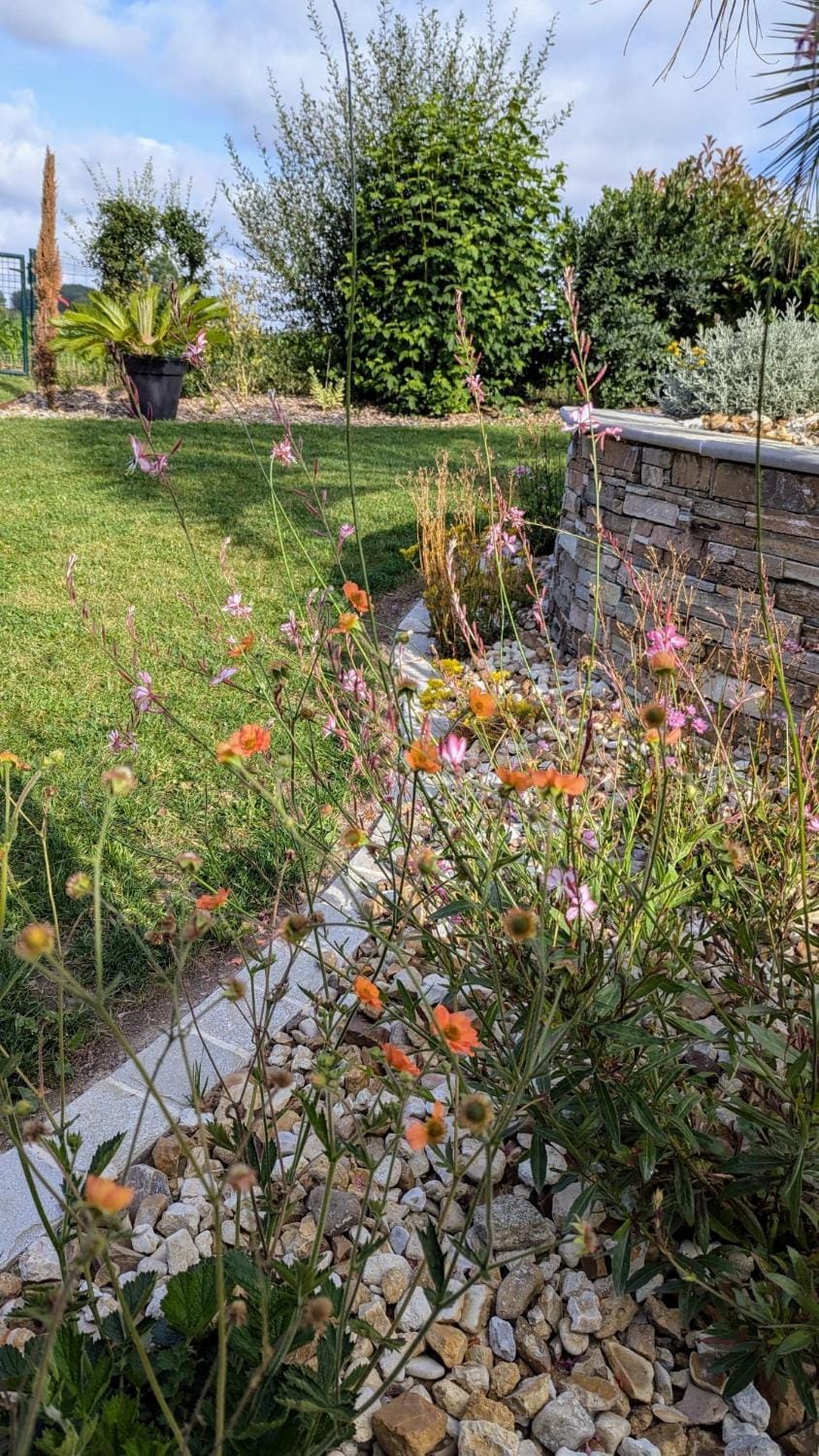Spring, Natural landscape, Garden
