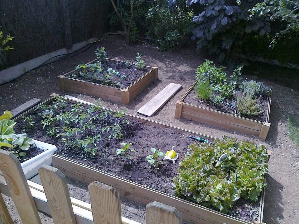 Garden